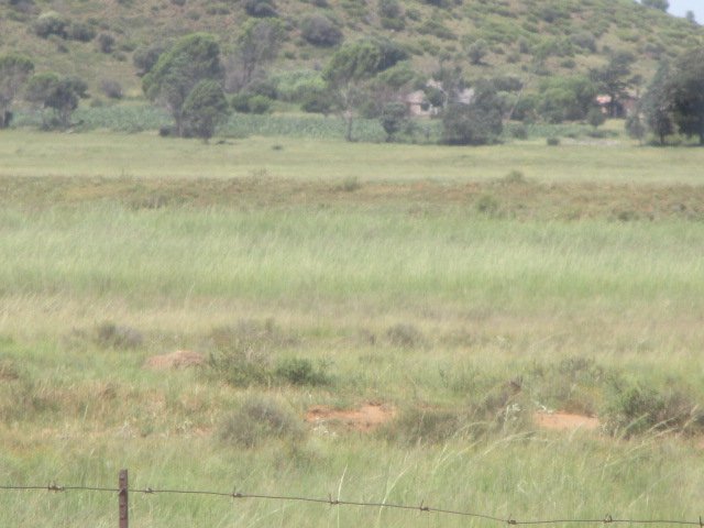 1 Bedroom Property for Sale in Bloemfontein Rural Free State